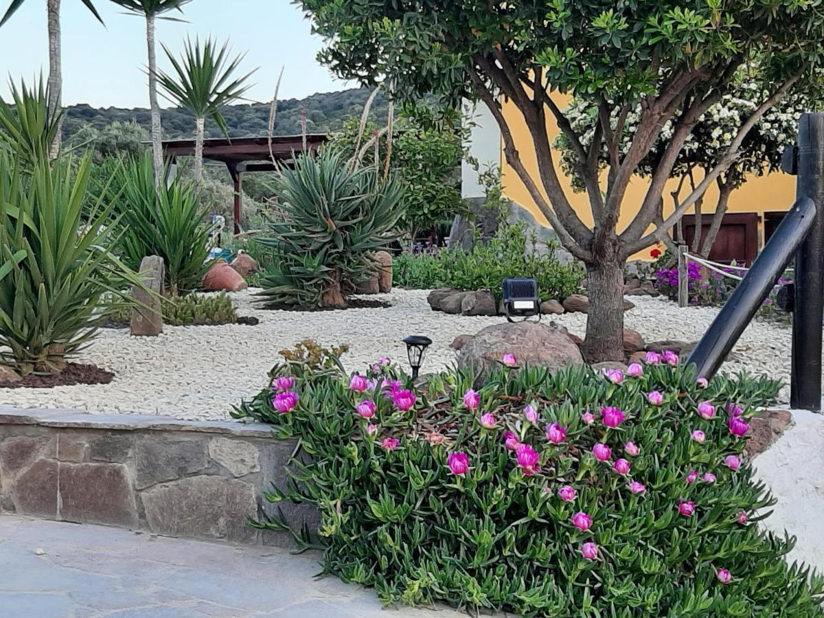 אלגהרו Villa Saige , Piscina Ad Uso Esclusivo, Con Idromassaggio מראה חיצוני תמונה