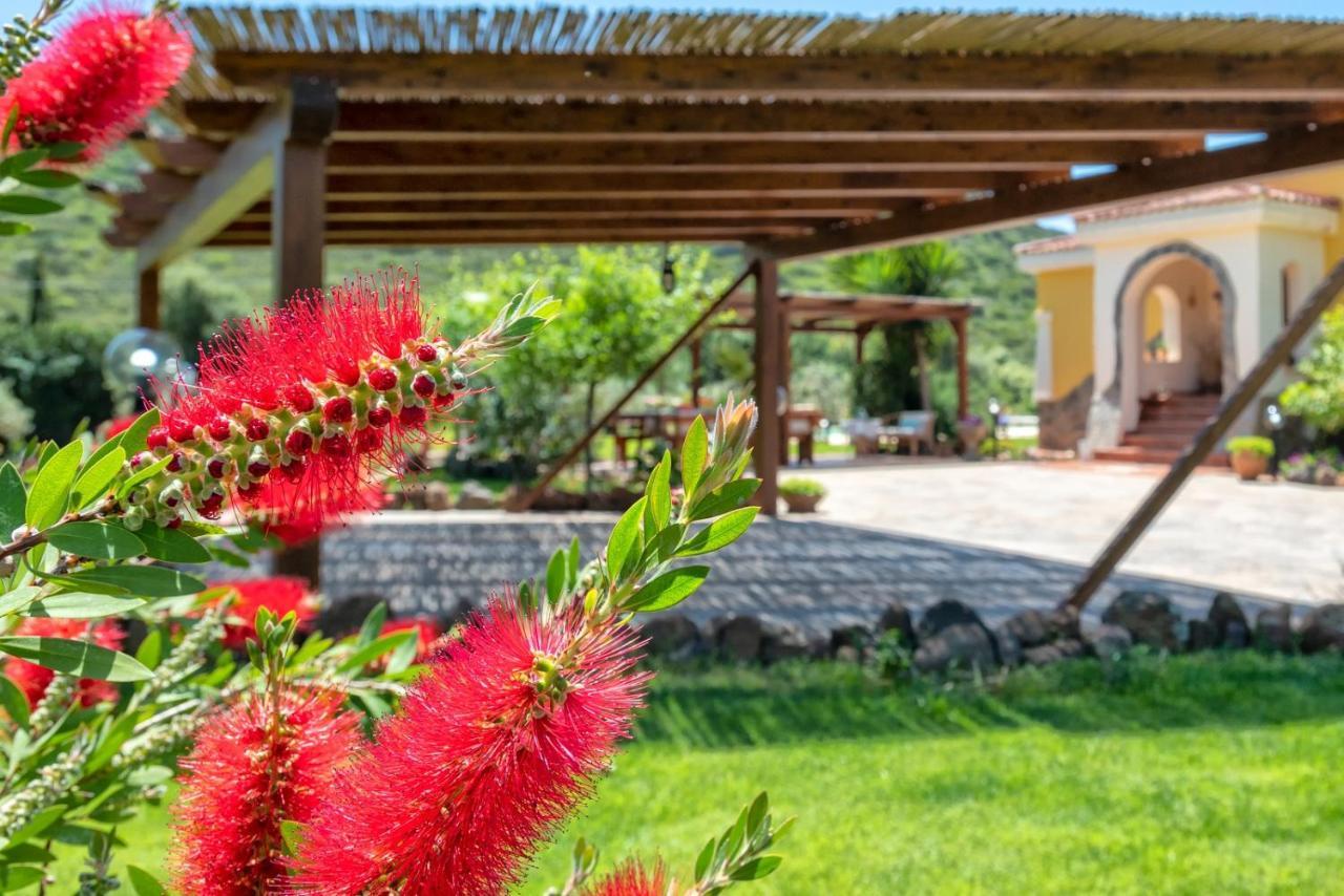 אלגהרו Villa Saige , Piscina Ad Uso Esclusivo, Con Idromassaggio מראה חיצוני תמונה